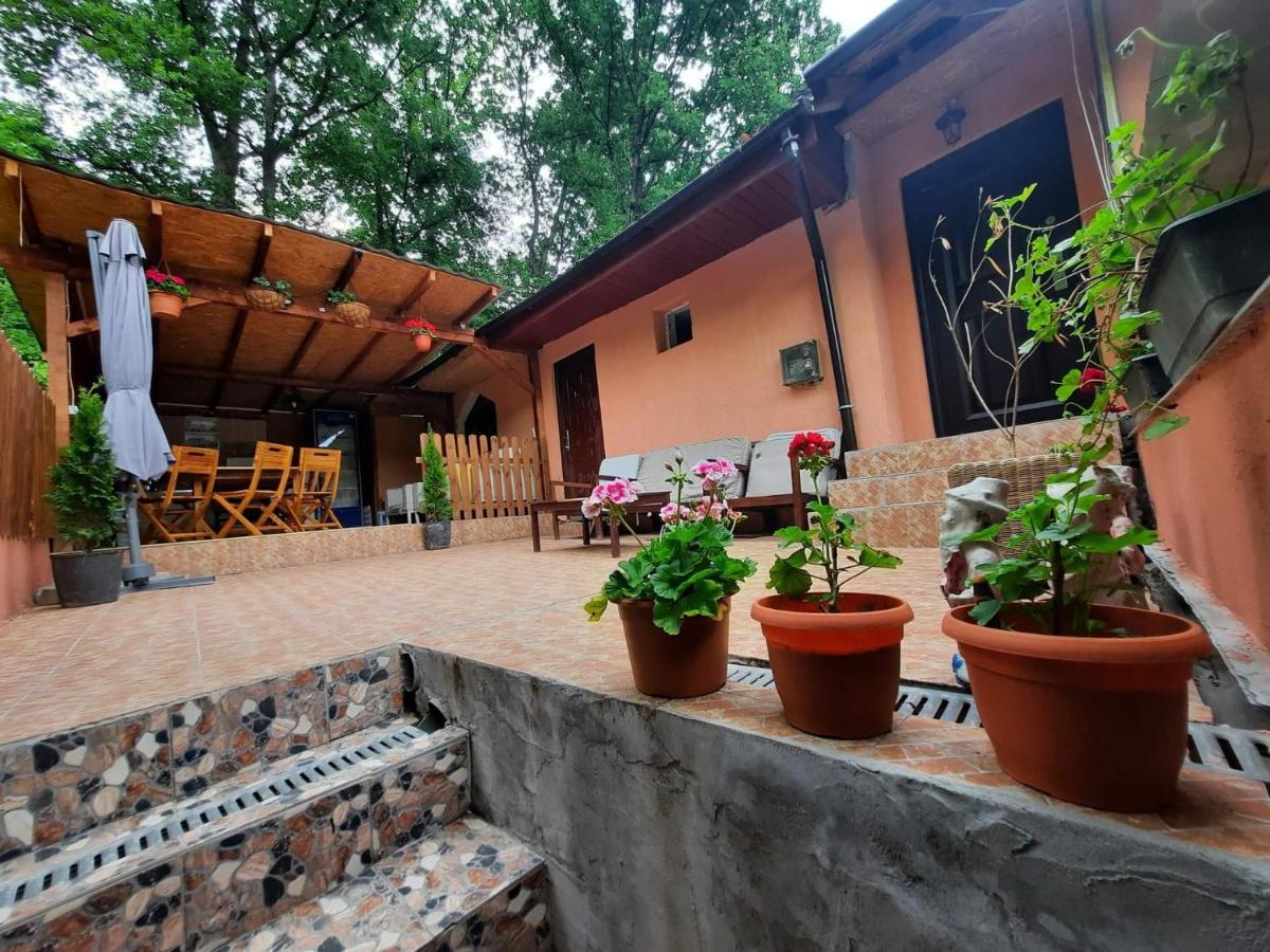 Casa De Vacanta Emd Ieşelniţa Εξωτερικό φωτογραφία