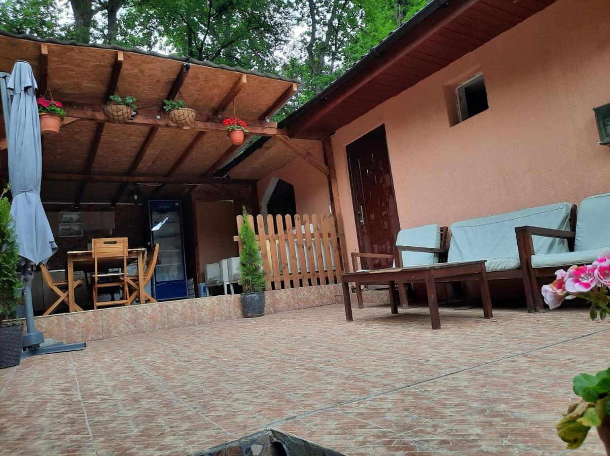 Casa De Vacanta Emd Ieşelniţa Εξωτερικό φωτογραφία