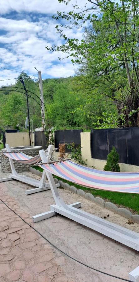 Casa De Vacanta Emd Ieşelniţa Εξωτερικό φωτογραφία