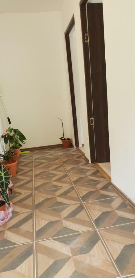 Casa De Vacanta Emd Ieşelniţa Εξωτερικό φωτογραφία
